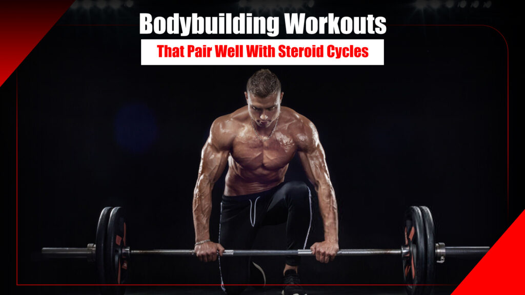 Bodybuilding Workouts That Pair Well With Steroid Cycles