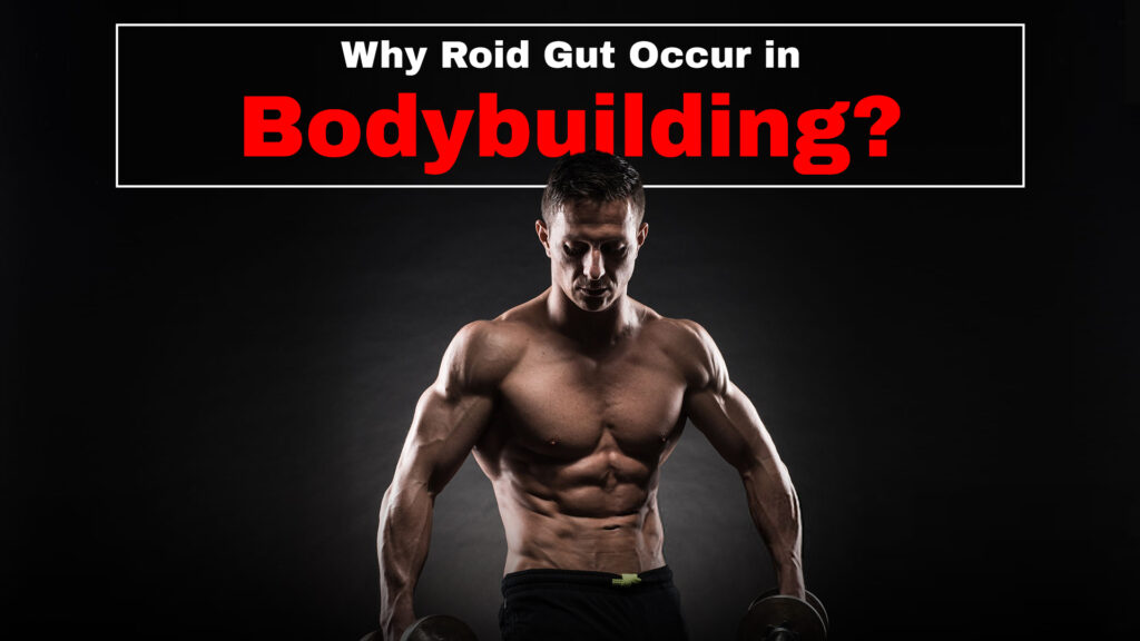 Why Roid Gut Occur in Bodybuilding?