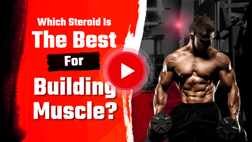 Which Steroid Is The Best For Building Muscle?