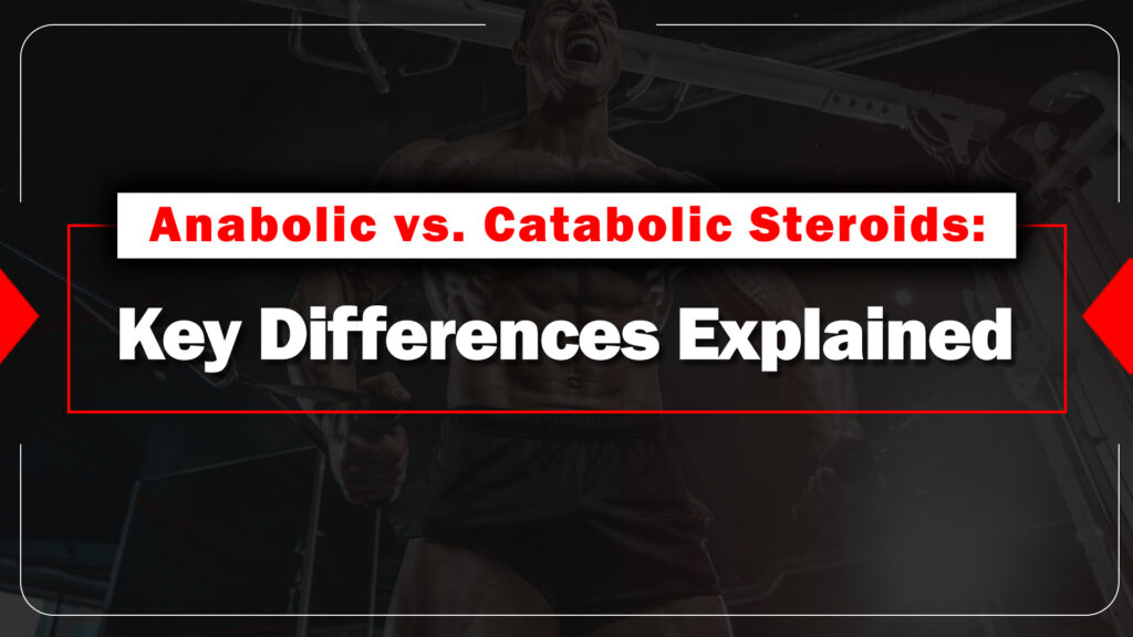 Anabolic vs. Catabolic Steroids