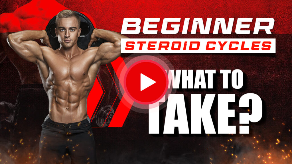 Beginner Steroid Cycles | What to Take?