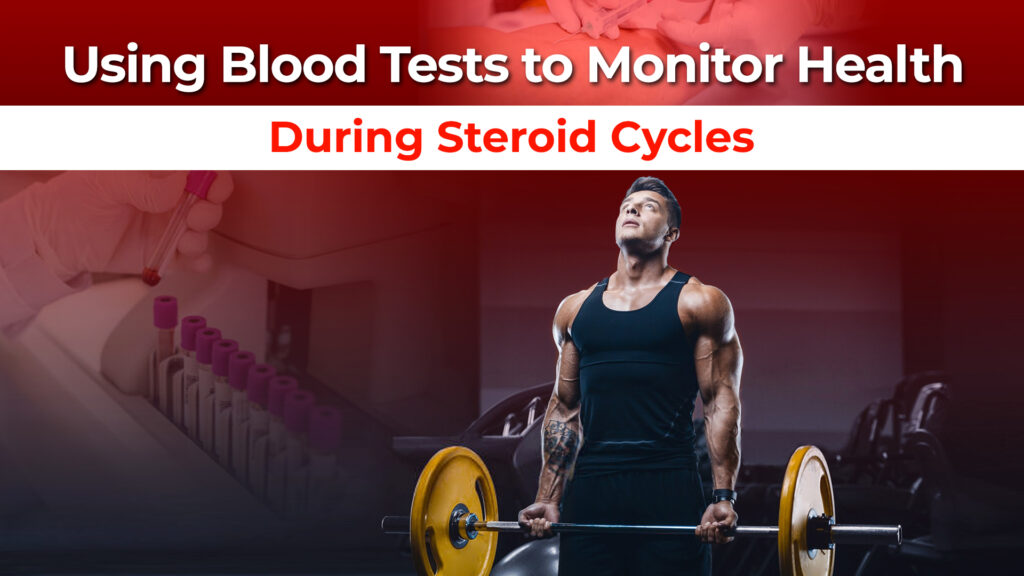 Blood tests during steroid cycles