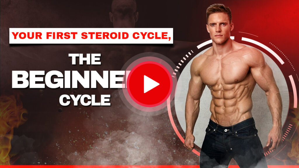 Your First Steroid Cycle, The Beginners Cycle