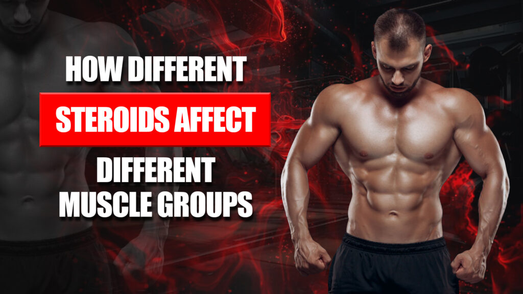 How different steroids affect muscle groups