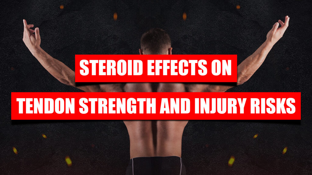 steroid effects on tendon strength