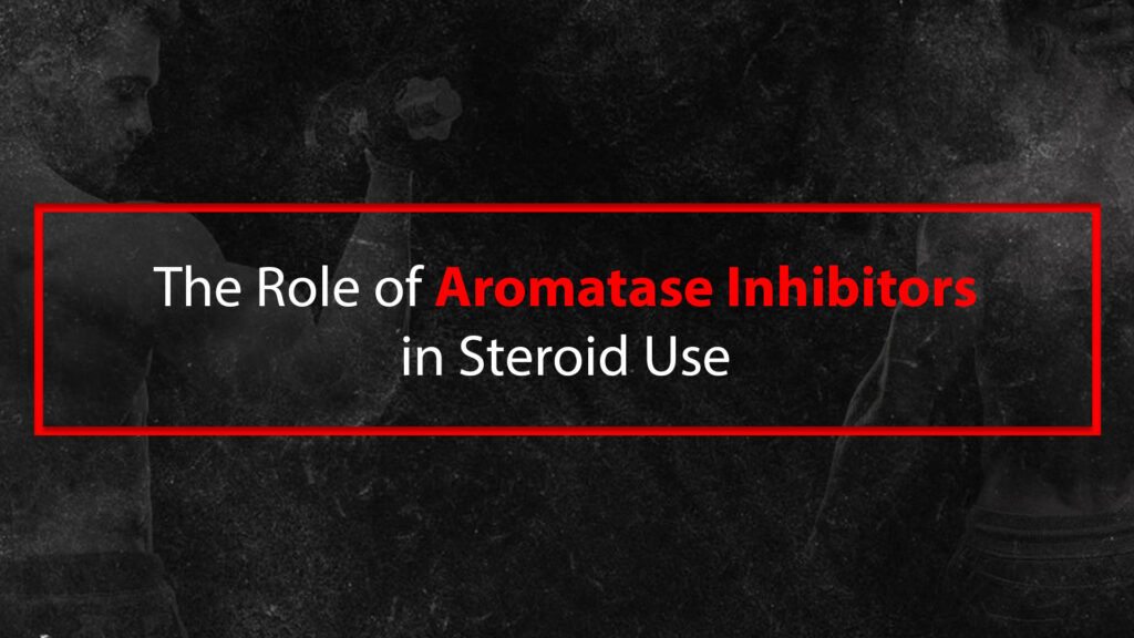 Aromatase Inhibitors Steroid Use