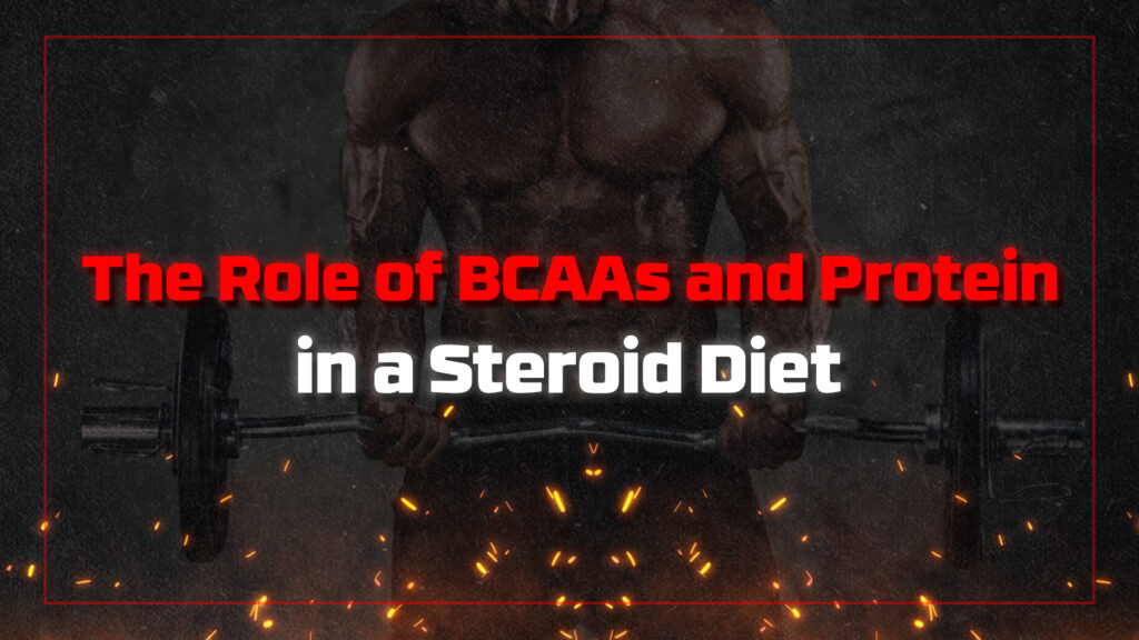 BCAAs and protein in a steroid diet