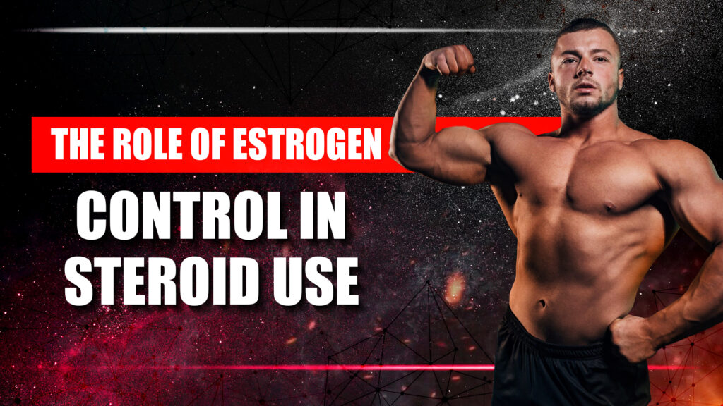 Estrogen Control in Steroid Use