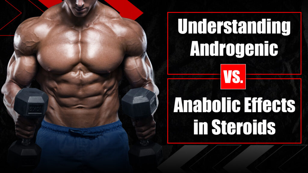 Androgenic vs. Anabolic Effects in Steroids