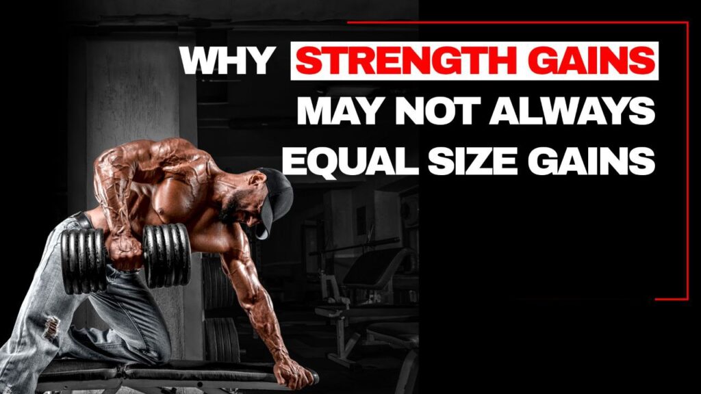 Why Strength Gains May Not Always Equal Size Gains