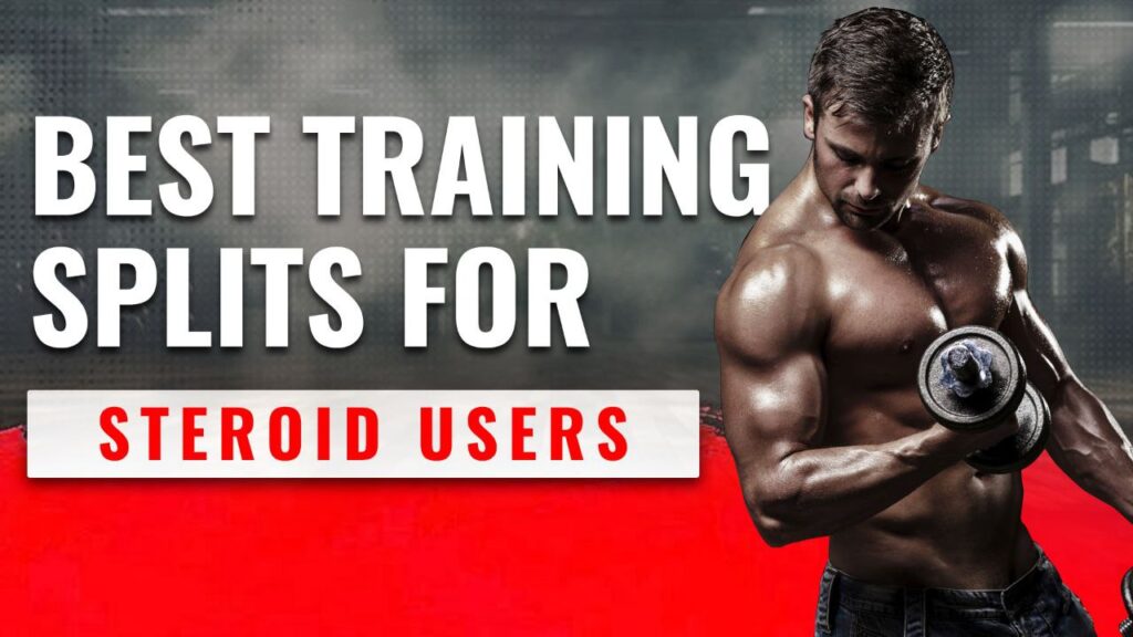 Best Training Splits for Steroid Users