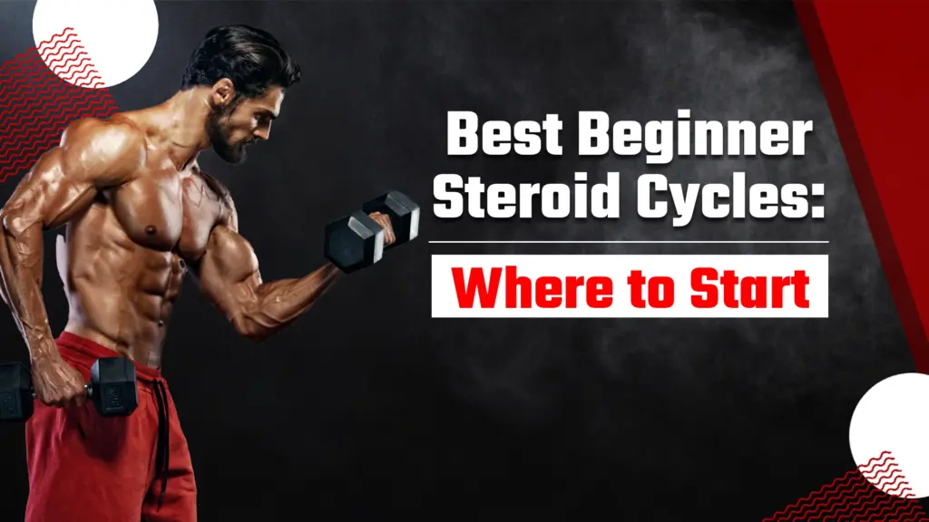 Best Beginner Steroid Cycle