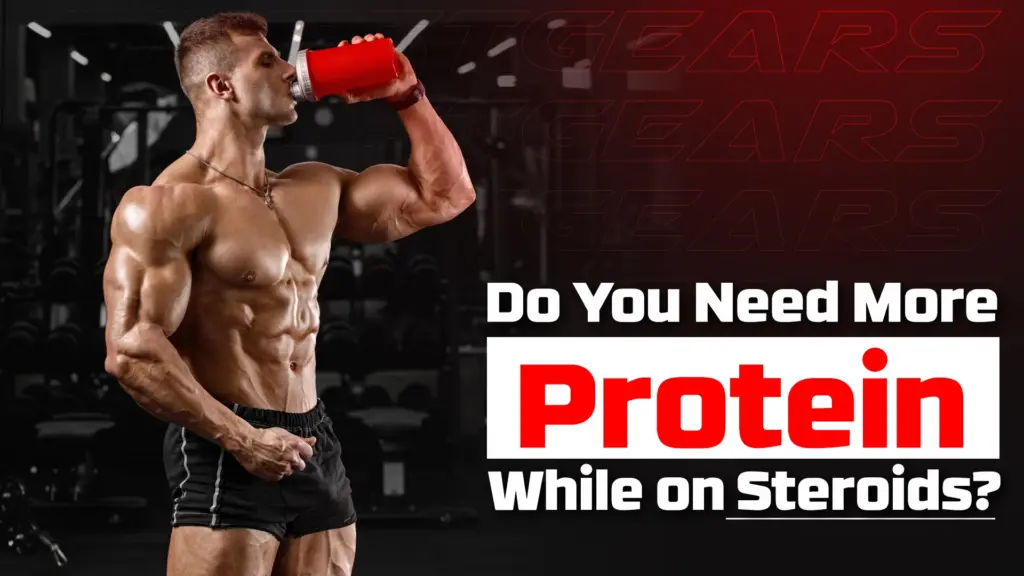 protein intake while on steroids