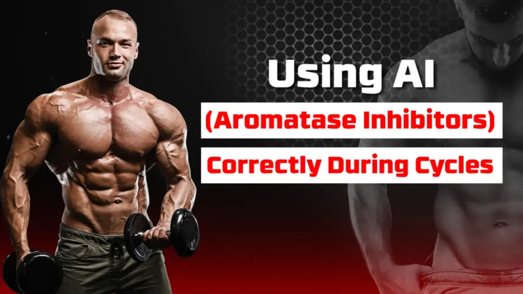 Aromatase Inhibitors during steroid cycles