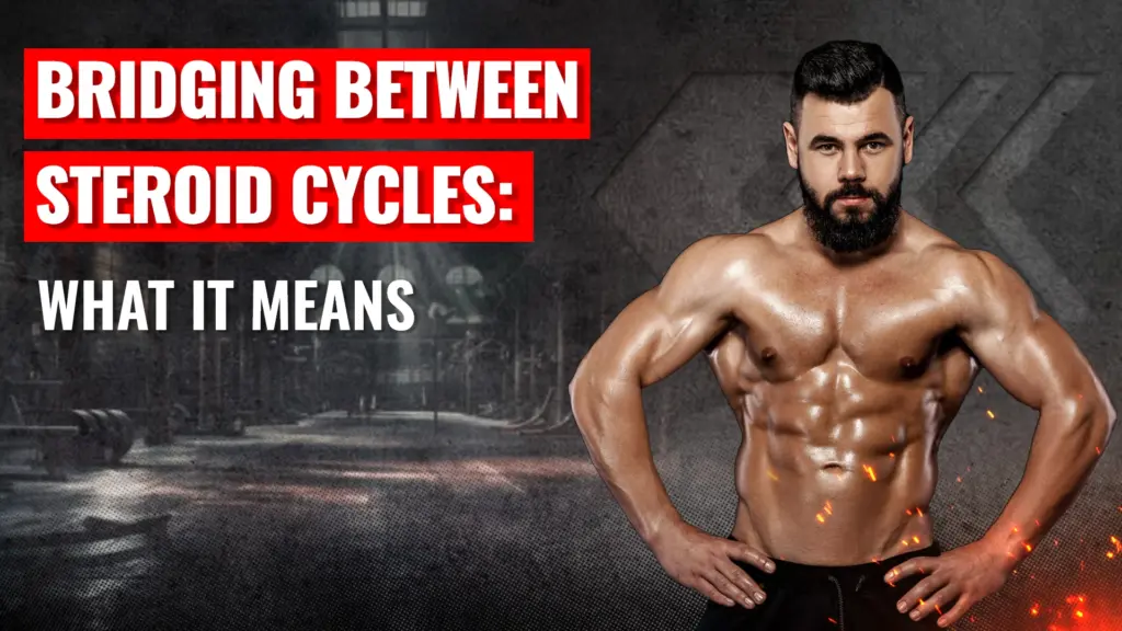 Bridging between steroid cycles