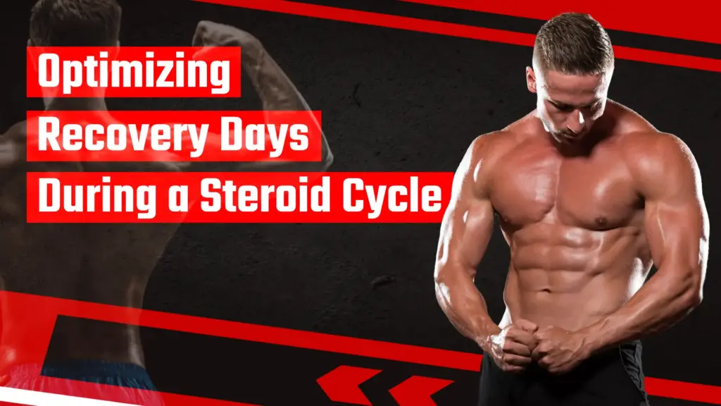 Optimizing recovery days during a steroid cycle for strength, joint health, and long-term muscle gains