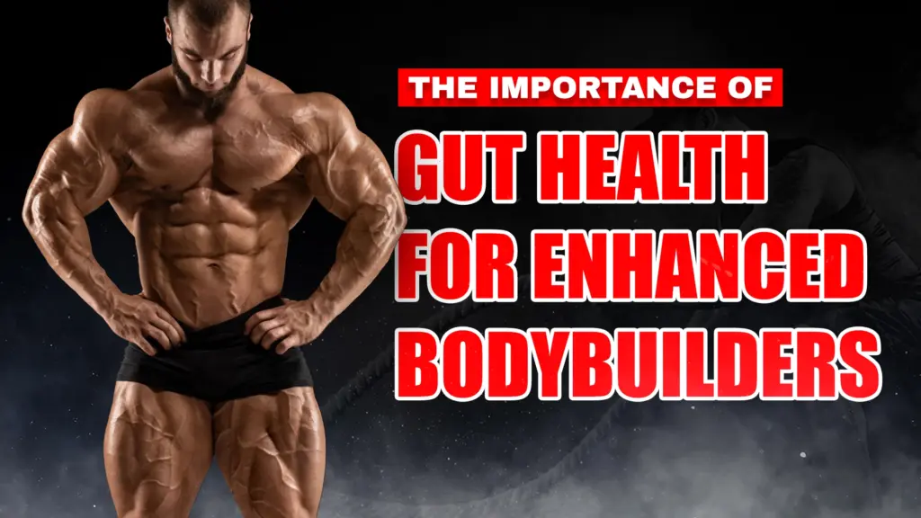 The Importance of Gut Health for Enhanced Bodybuilders