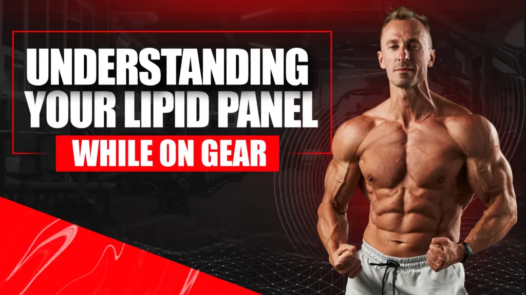 Understanding Your Lipid Panel While on Gear