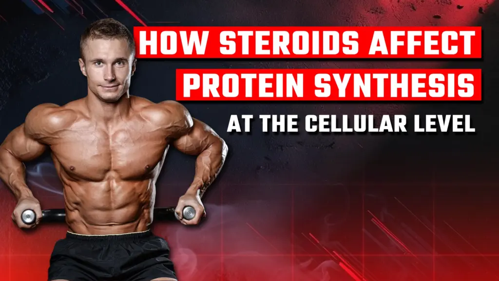 How Steroids Affect Protein Synthesis at the Cellular Level