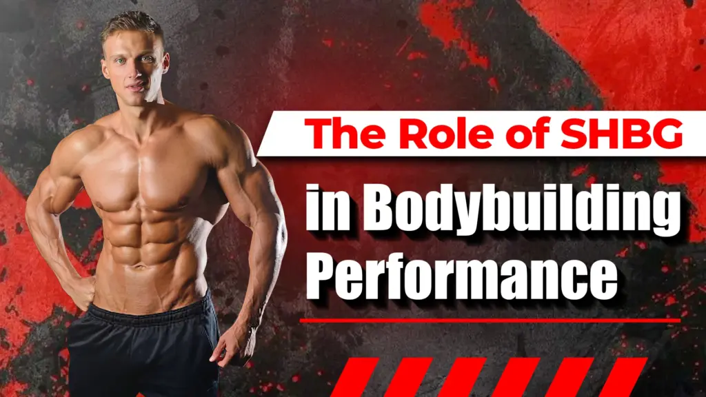 The Role of SHBG in Bodybuilding Performance