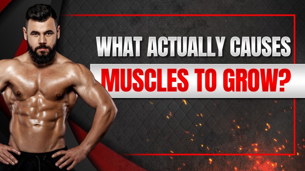 What Actually Causes Muscles to Grow?